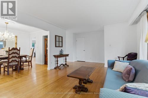 bright living room with hardwood floors - 61 San Pedro Drive, Hamilton, ON 