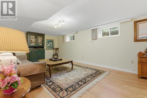 huge lower level rec room - 61 San Pedro Drive, Hamilton, ON 