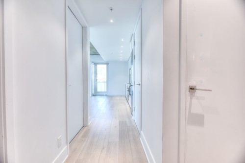 Hall d'entrée/Vestibule - 2001-1188 Av. Union, Montréal (Ville-Marie), QC 