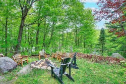 Lot - 