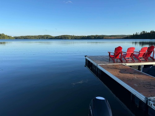 Bord de l'eau - 42 Ch. Higgins, Low, QC 