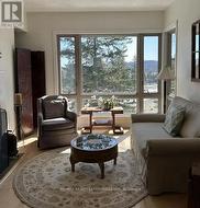 Peaceful Forest Views from Living Room - 