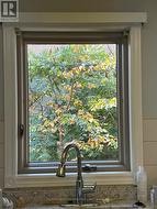 Large Kitchen Window - 