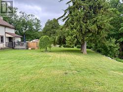 Backyard - 