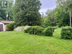 Backyard - 