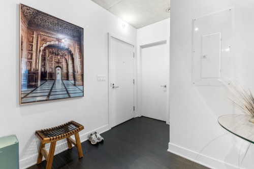 Hall d'entrée/Vestibule - 312-198 Rue Ann, Montréal (Le Sud-Ouest), QC 