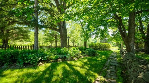 Jardin - 58 Rue Mountain, Granby, QC 
