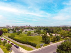 Aerial View - 