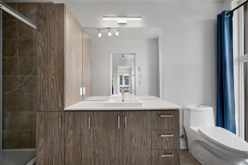 Master Bathroom - 336  - 338A Rue Angèle-Chartrand, Laval (Auteuil), QC 