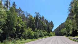 LOT 1 RED PINE TRAIL Bracebridge (Macaulay), ON P0B 1L0