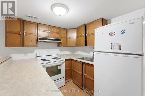Basement Kitchen - 1213 Erindale Drive, Ottawa, ON 