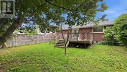 Backyard - 