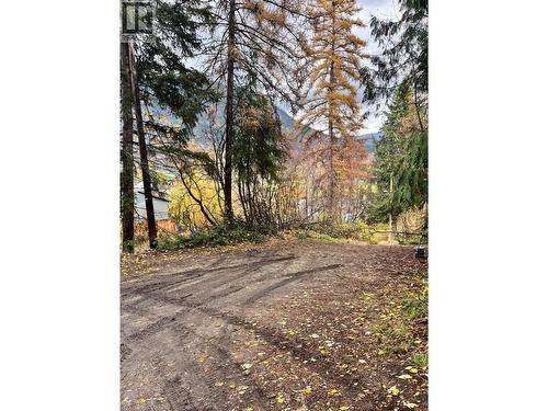 9Th Avenue, Castlegar, BC 