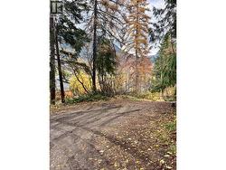 9TH Avenue Castlegar, BC V1N 1K8