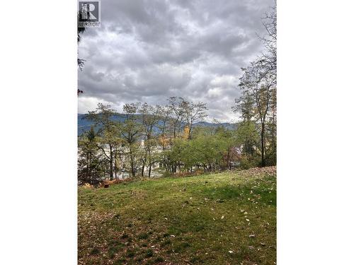 9Th Avenue, Castlegar, BC 