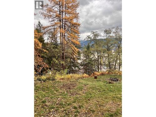 9Th Avenue, Castlegar, BC 