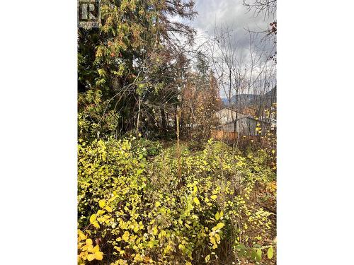9Th Avenue, Castlegar, BC 