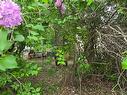 1112 Brazier St, Winnipeg, MB 