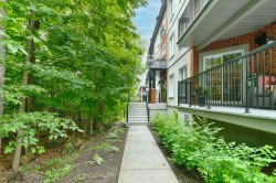 Other - 