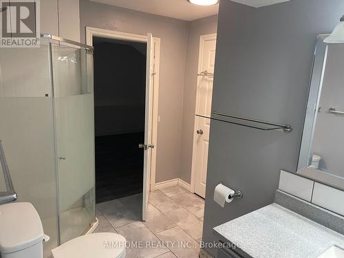 Bsmnt - 58 Hewlett Crescent, Markham, ON - Indoor Photo Showing Bathroom