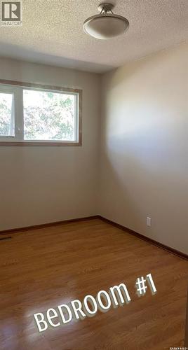 12 Mountain Drive, Carlyle, SK - Indoor Photo Showing Other Room