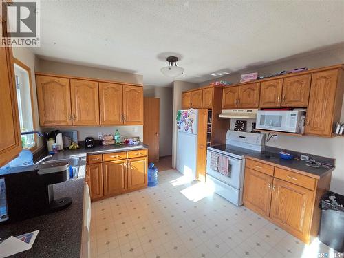12 Mountain Drive, Carlyle, SK - Indoor Photo Showing Kitchen