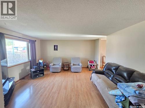 12 Mountain Drive, Carlyle, SK - Indoor Photo Showing Living Room