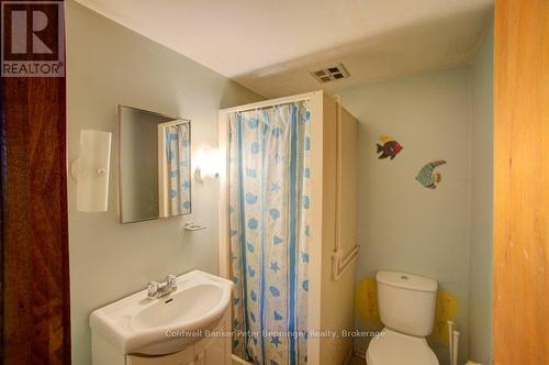 253 2Nd Concession, Arran-Elderslie, ON - Indoor Photo Showing Bathroom