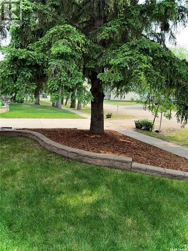 211 2Nd Street E, Langham, SK - Outdoor