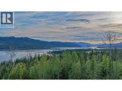 Lot 9 Lonneke Trail Anglemont, BC V0E 1M8