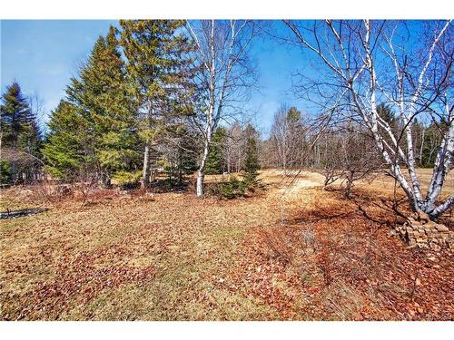 773 Route 11, Bartibog Bridge, NB 