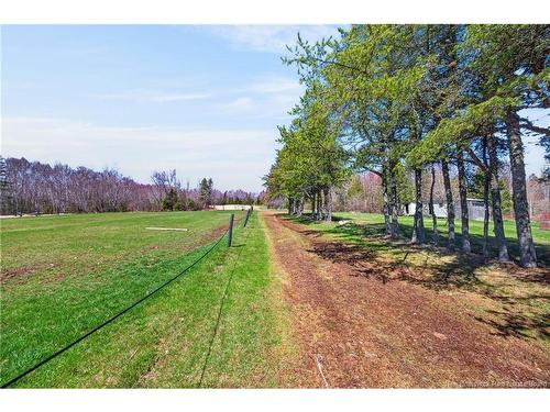 1602 Route 635, Harvey, NB 