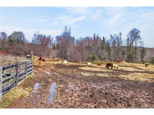 1602 Route 635, Harvey, NB 