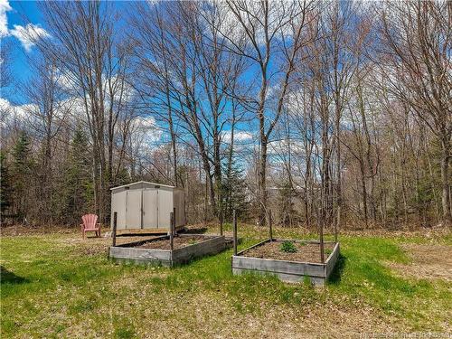 9 Mcleod Lane, Lincoln, NB 
