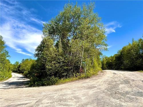 2.87 Acres Portage River Rd, Baie-Sainte-Anne, NB 