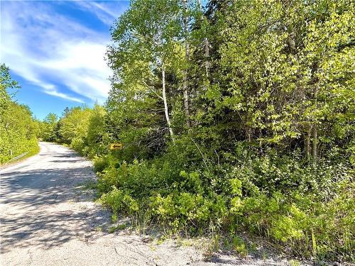 2.87 Acres Portage River Rd, Baie-Sainte-Anne, NB 