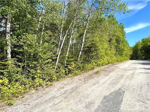 2.87 Acres Portage River Rd, Baie-Sainte-Anne, NB 