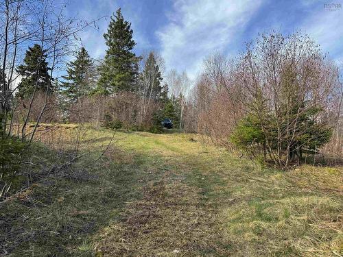 Orangedale-Iona Road, West Alba, NS 