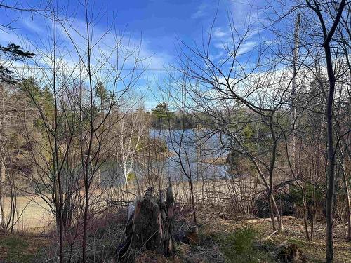 Orangedale-Iona Road, West Alba, NS 