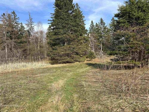 Orangedale-Iona Road, West Alba, NS 