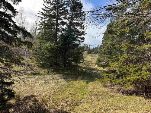 Orangedale-Iona Road, West Alba, NS 