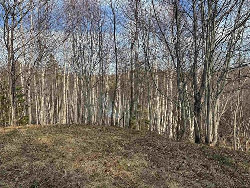 Orangedale-Iona Road, West Alba, NS 