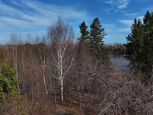 Orangedale-Iona Road, West Alba, NS 
