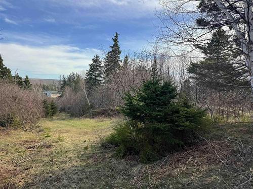 Orangedale-Iona Road, West Alba, NS 