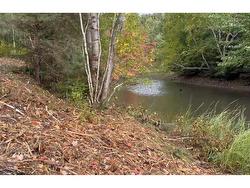 Lot 03-3C Point Forty Four Road  Little Harbour, NS B2H 5C4