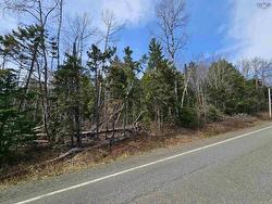Lot B Highway 326  Denmark, NS B0K 1V0