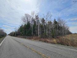 Lot A Highway 326  Denmark, NS B0K 1V0