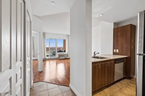 Hall d'entrée/Vestibule - 406-1500 Rue St-Louis, Montréal (Saint-Laurent), QC - Indoor