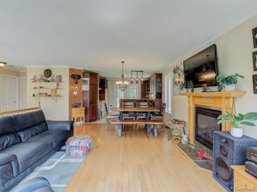 Salon - 159 Ch. Scott, Gore, QC - Indoor Photo Showing Living Room With Fireplace