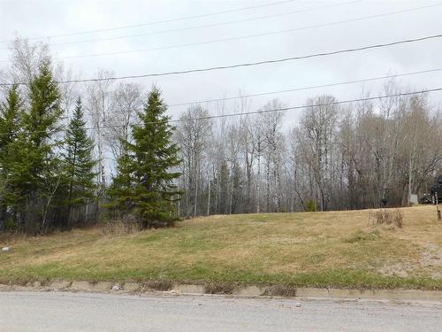 113 Third Street, Dryden, ON 